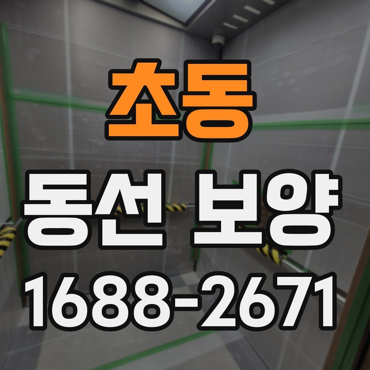 초동 동선 보양 대상 구간을 정하는 기준