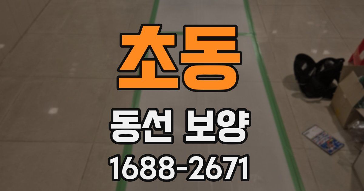 초동 동선 보양