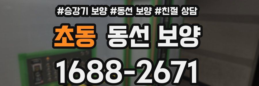 초동 동선 보양