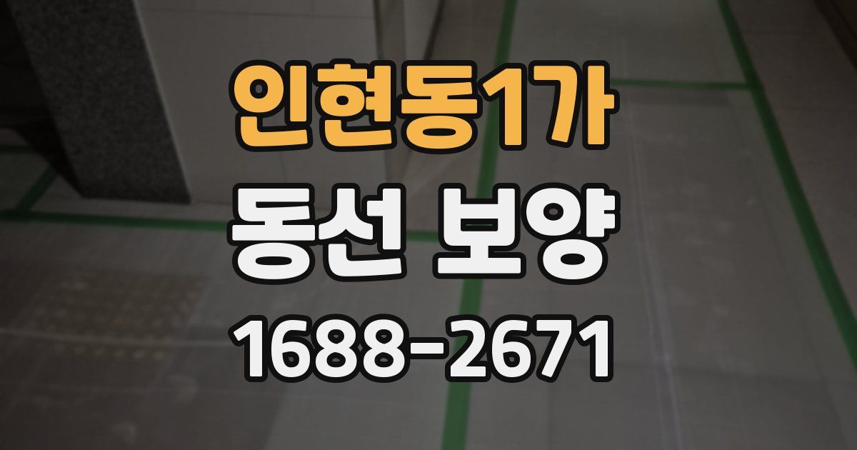 인현동1가 동선 보양