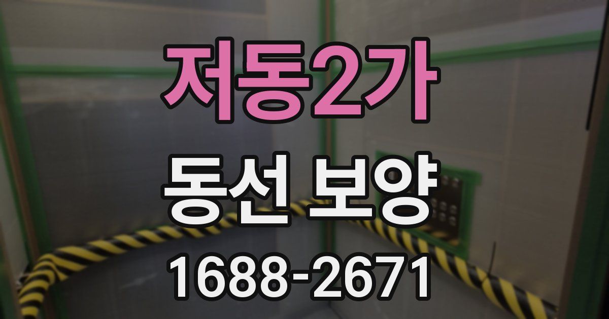 저동2가 동선 보양