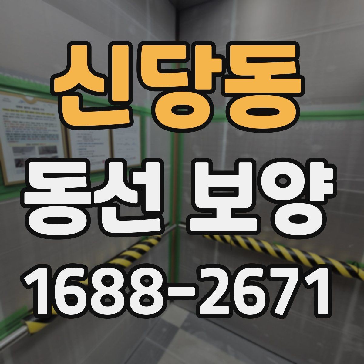 신당동 동선 보양 현장 사진으로 보는 진행 순서