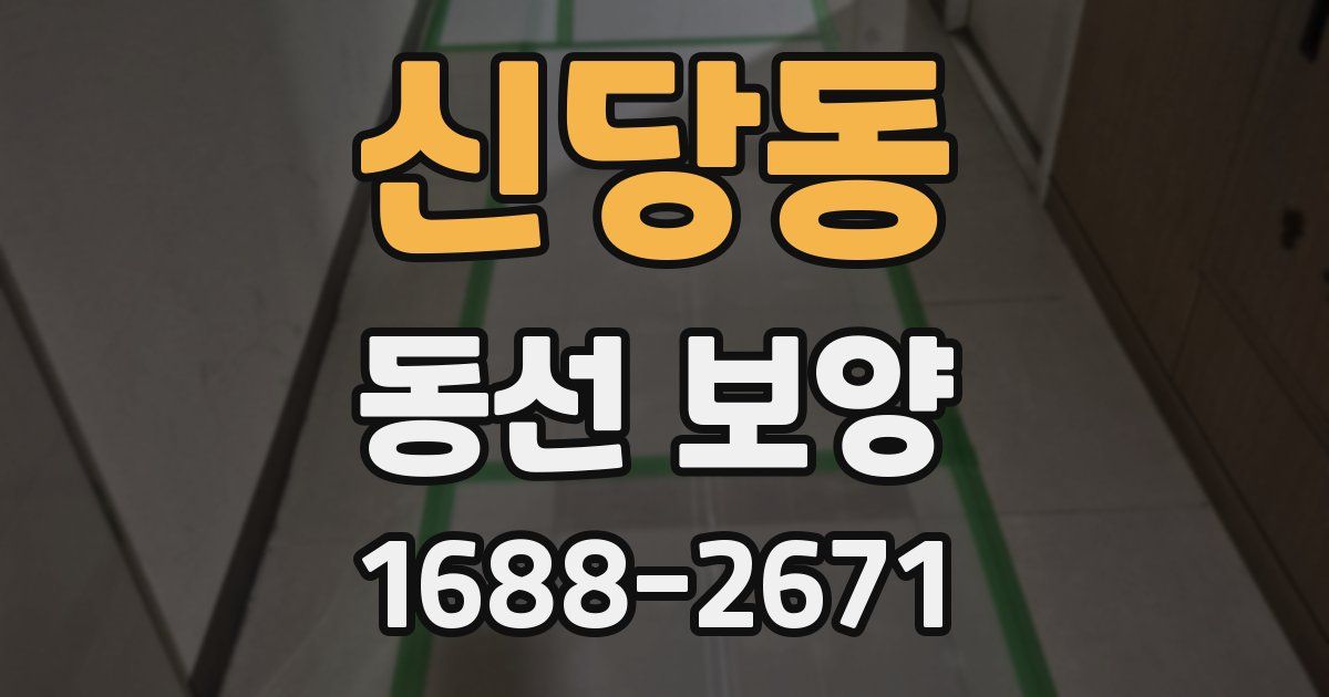 신당동 동선 보양