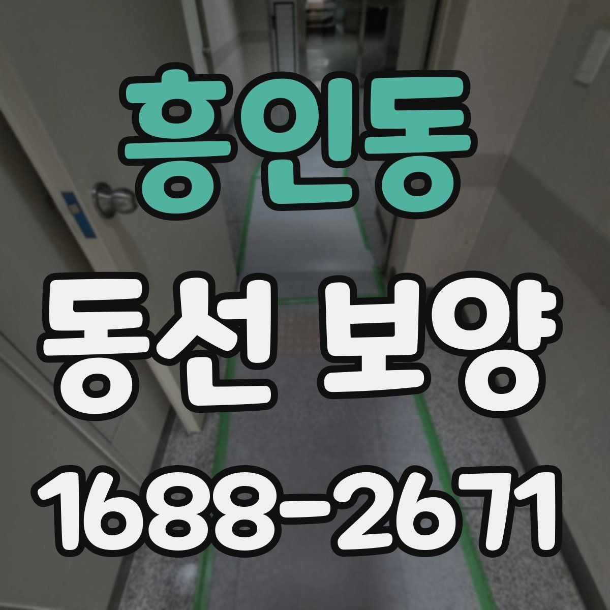 흥인동 동선 보양 현장에서 효율을 높이는 방법