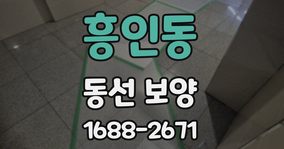 흥인동 동선 보양