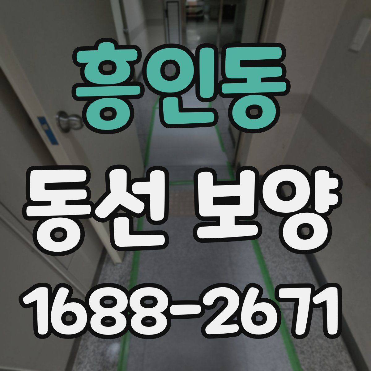 흥인동 동선 보양