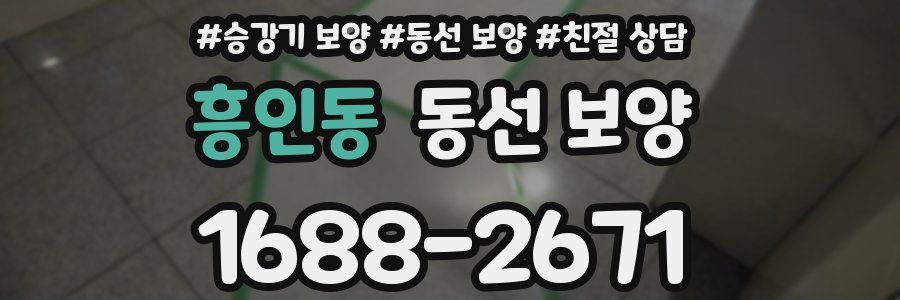 흥인동 동선 보양