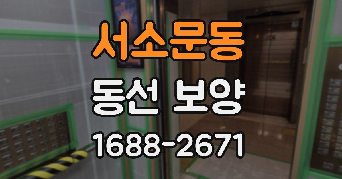 서소문동 동선 보양
