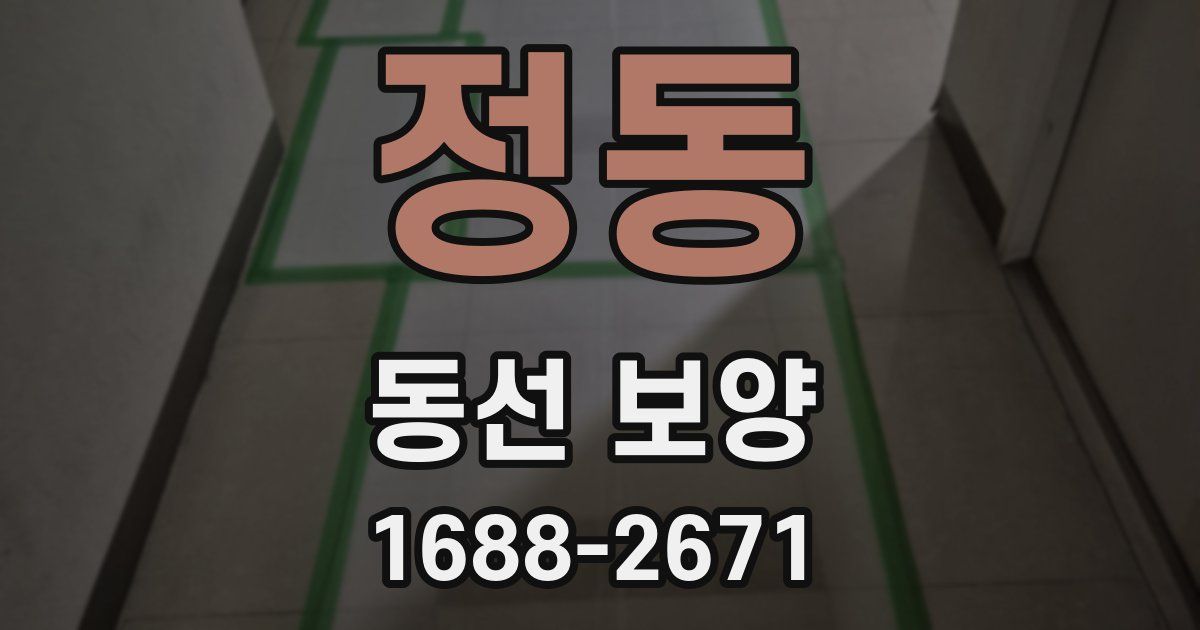 정동 동선 보양