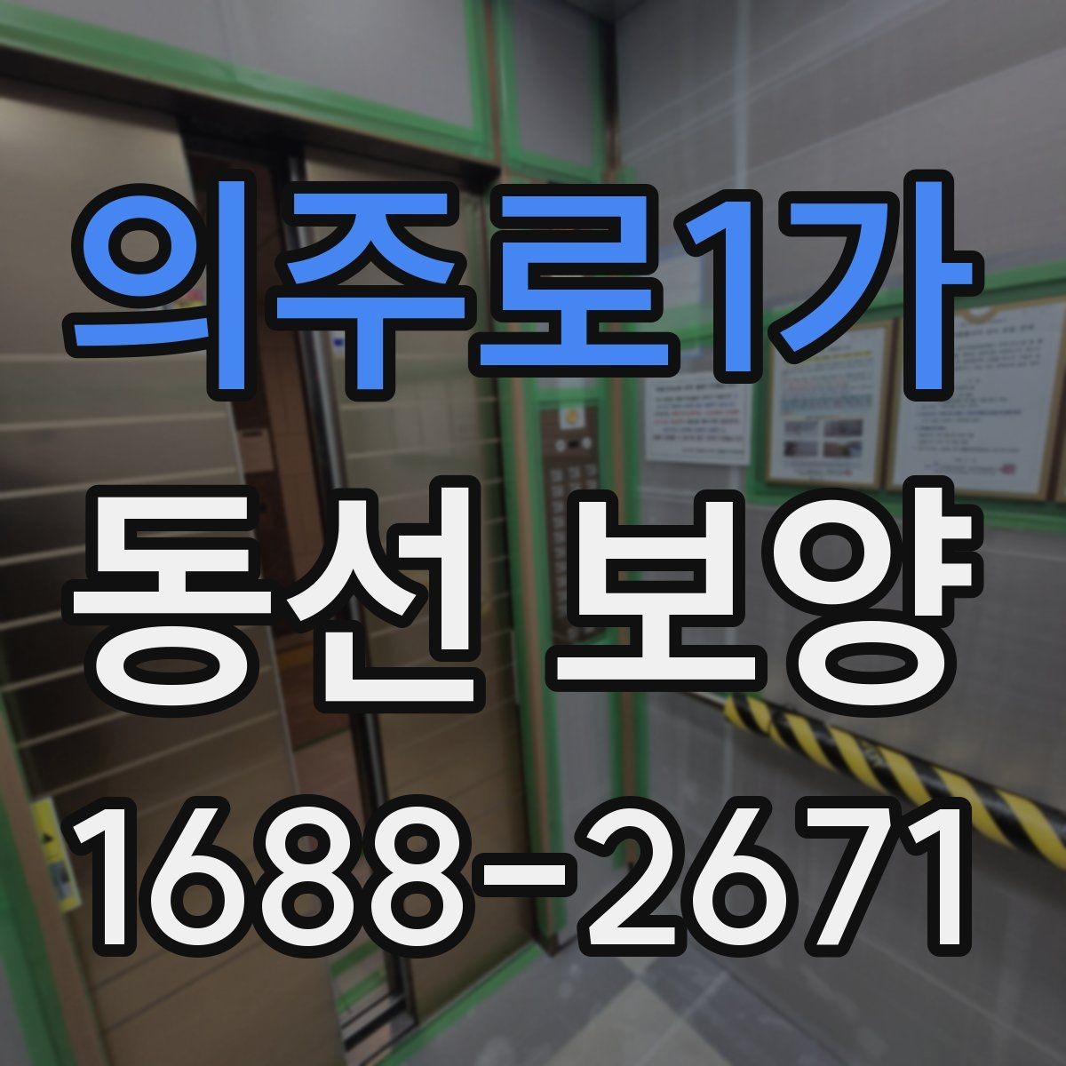 의주로1가 동선 보양 과정에서 생길 수 있는 문제와 대응