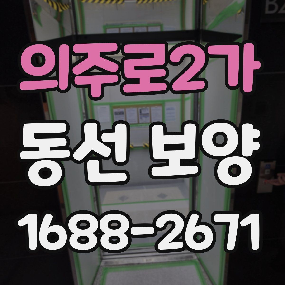 의주로2가 동선 보양 현장별로 달라지는 작업 포인트