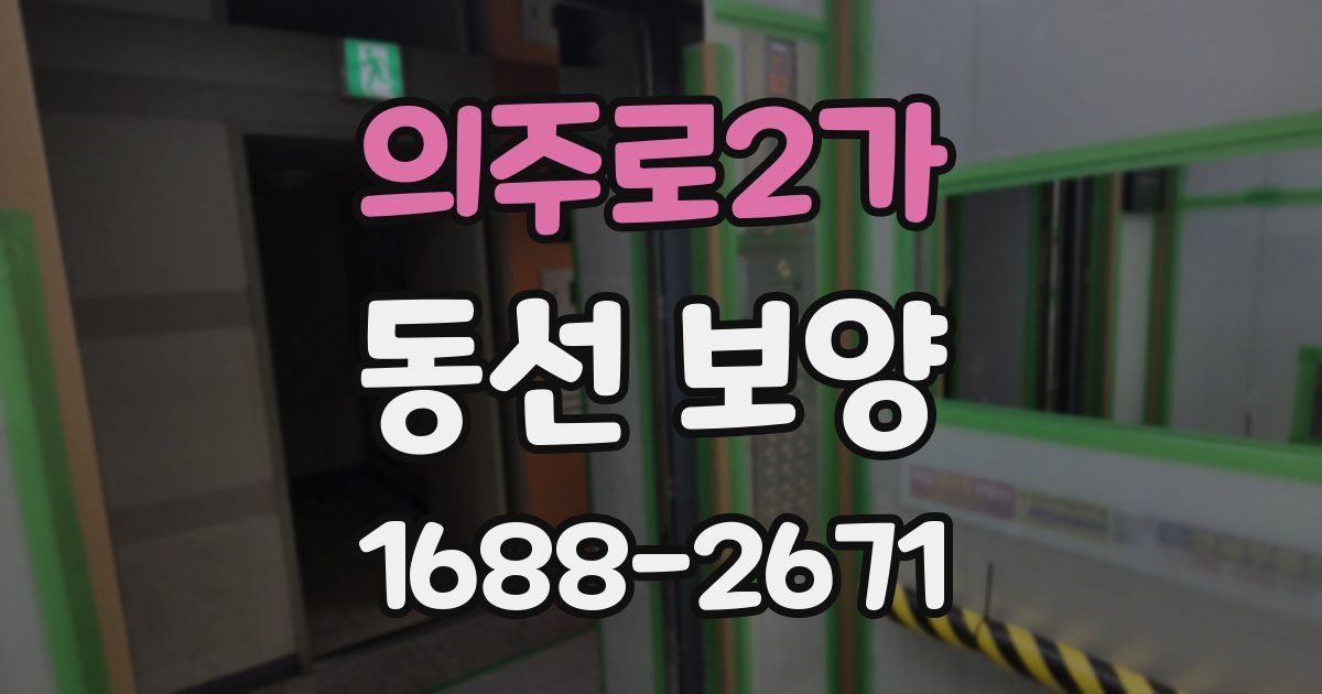 의주로2가 동선 보양