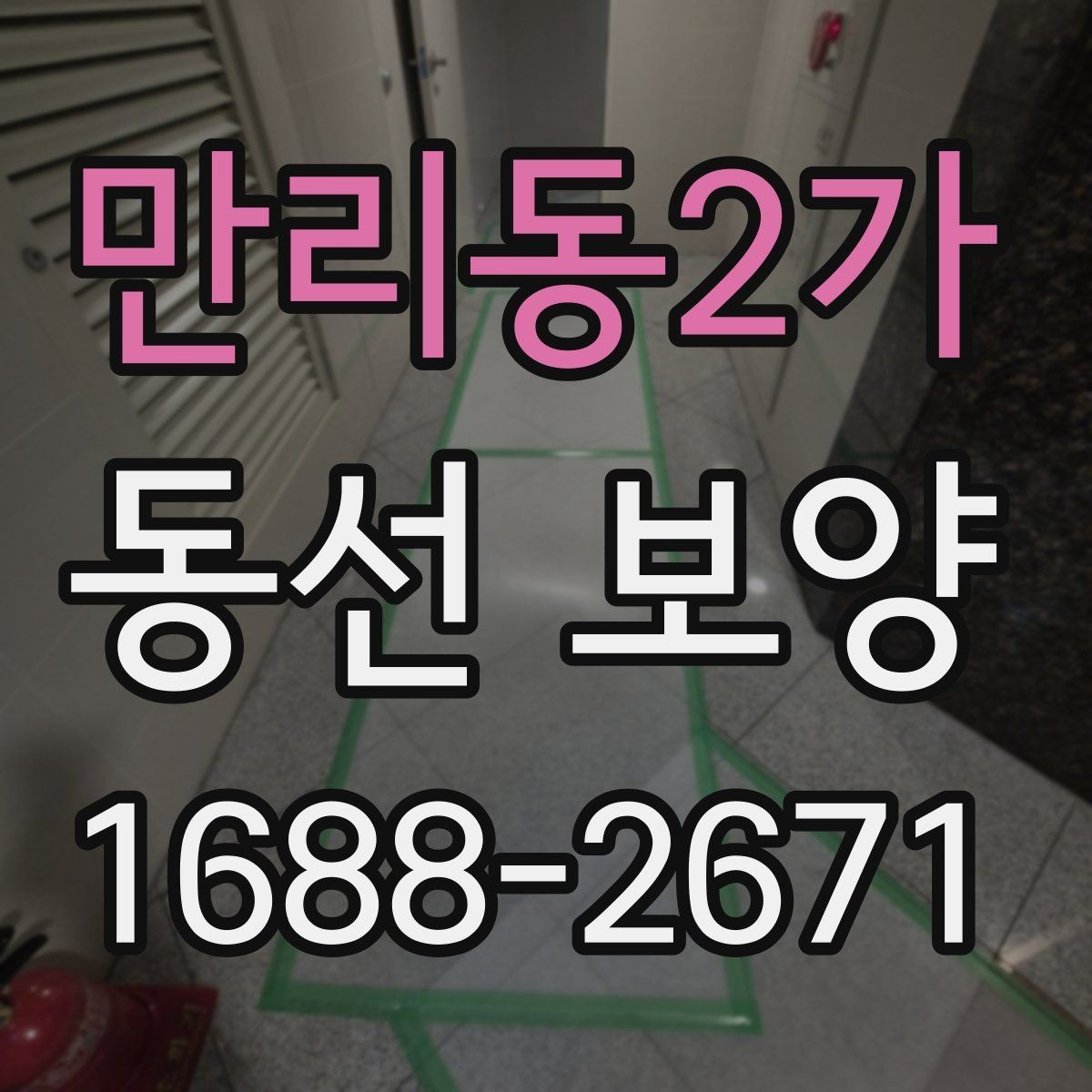 만리동2가 동선 보양 작업 후 관리 방법 안내