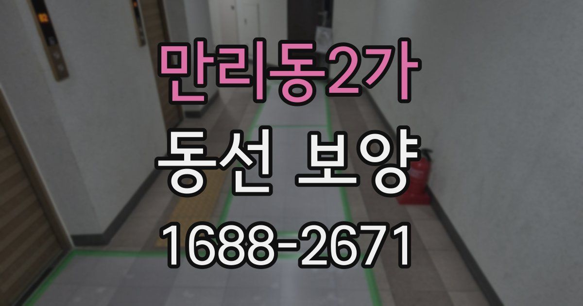 만리동2가 동선 보양