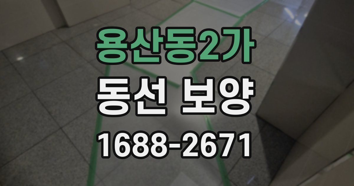 용산동2가 동선 보양