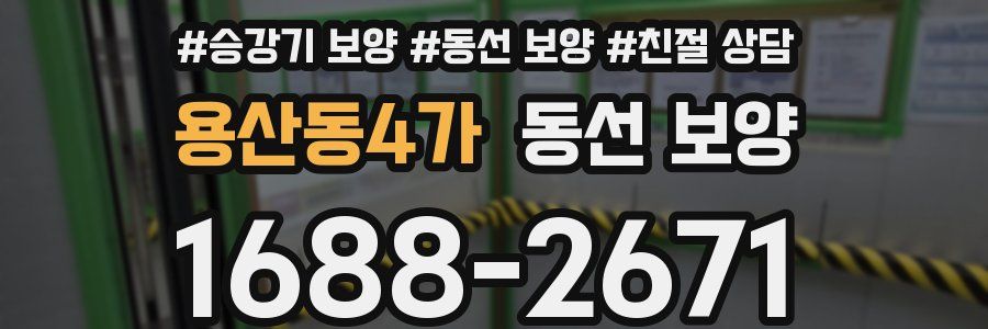 용산동4가 동선 보양