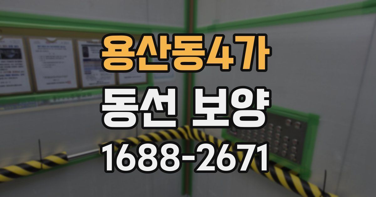 용산동4가 동선 보양