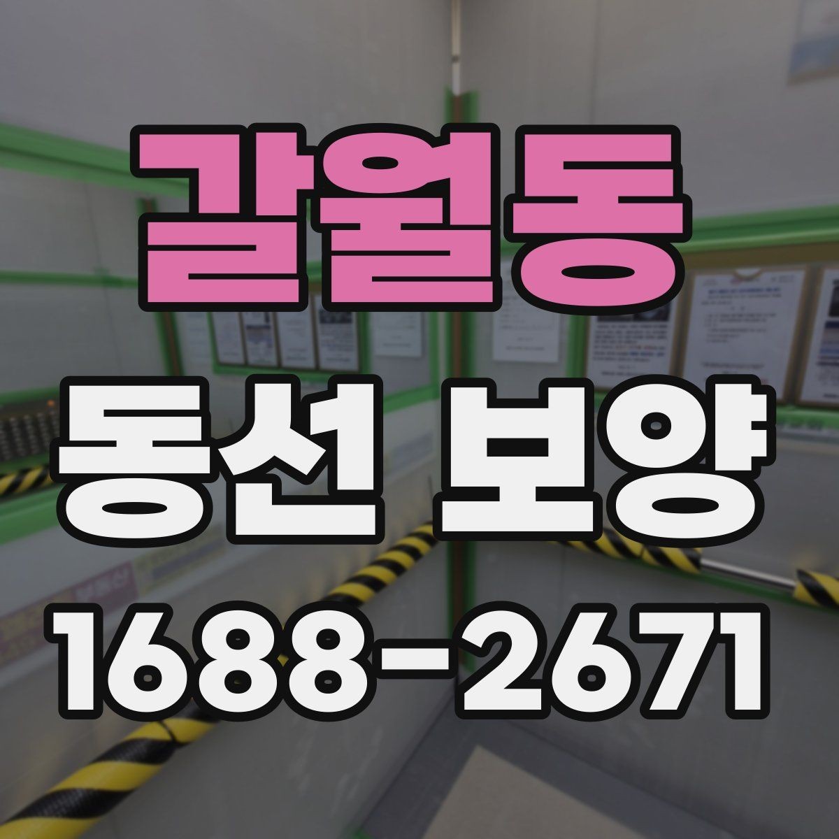 갈월동 동선 보양 일정 잡을 때 참고할 내용
