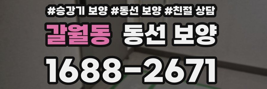 갈월동 동선 보양