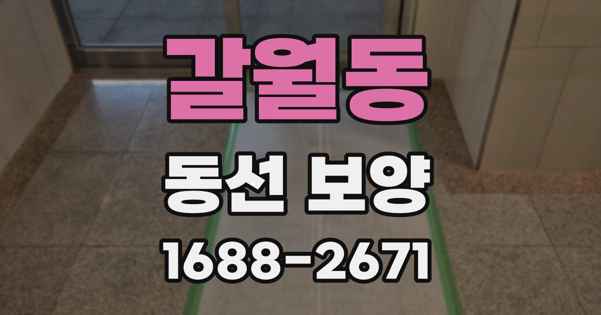 갈월동 동선 보양