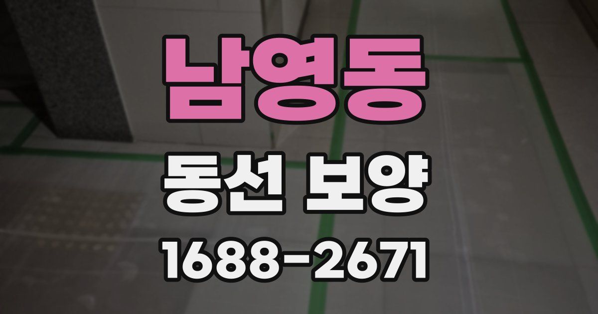 남영동 동선 보양