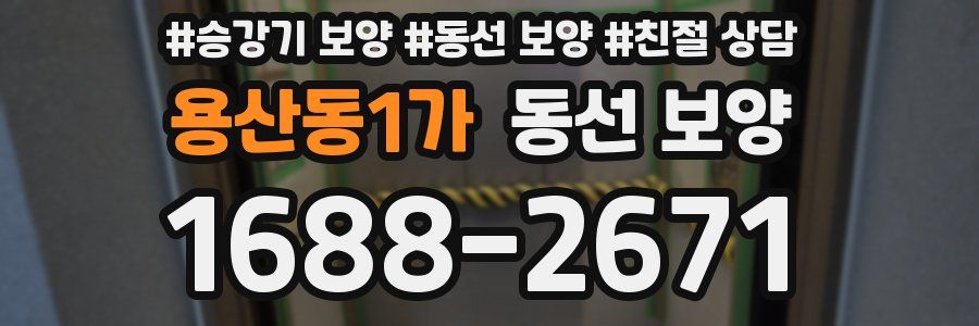 용산동1가 동선 보양