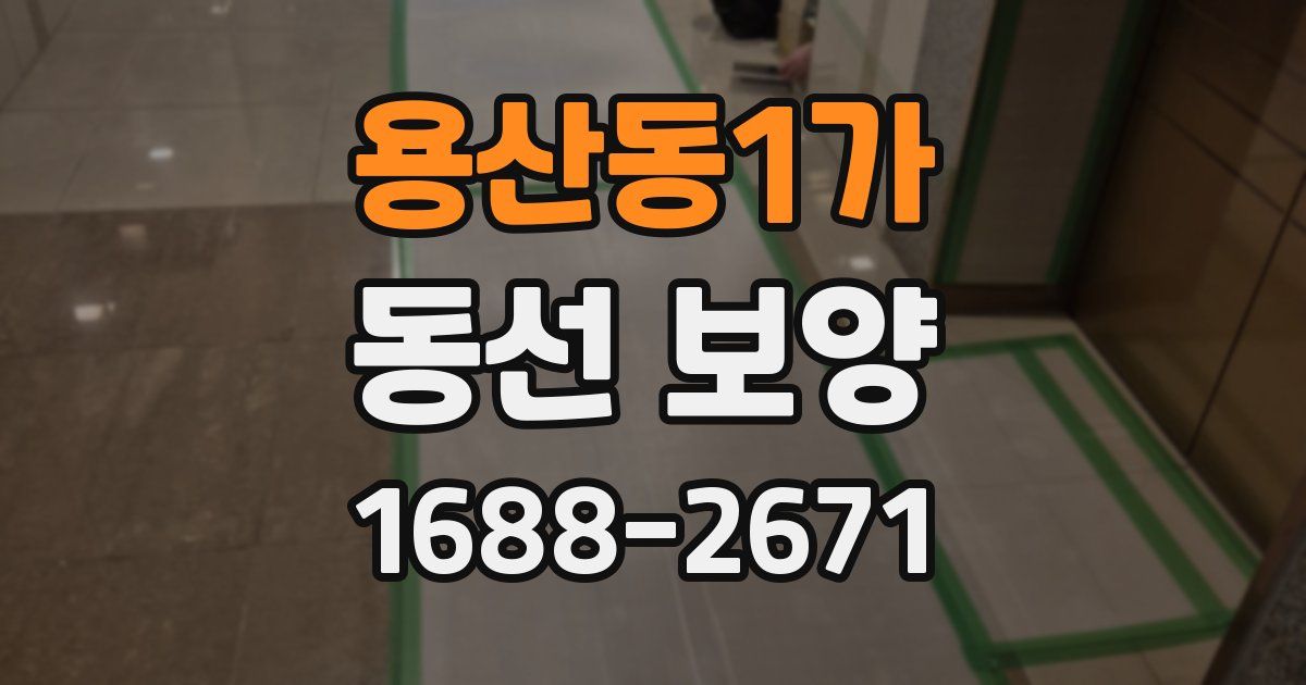 용산동1가 동선 보양