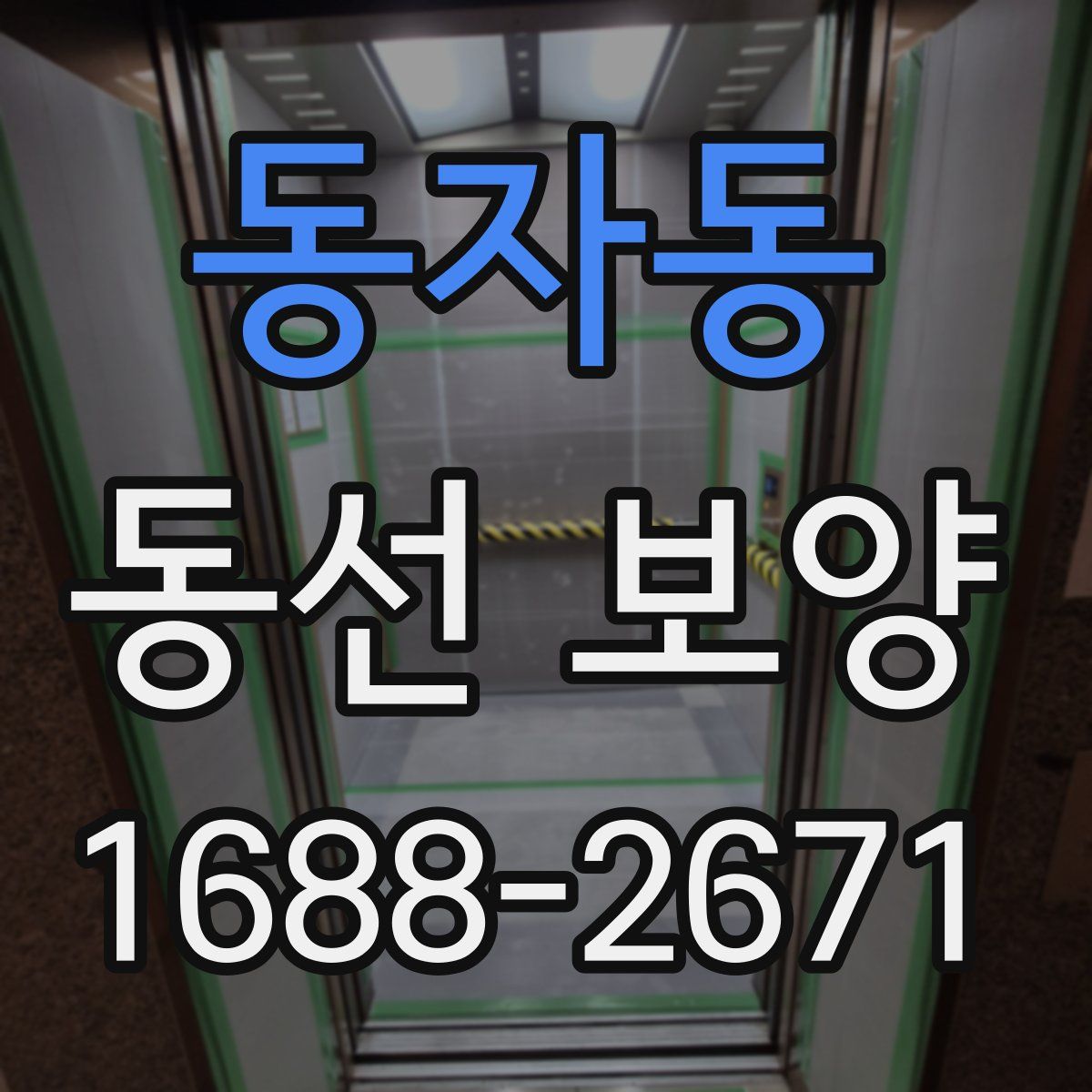 동자동 동선 보양