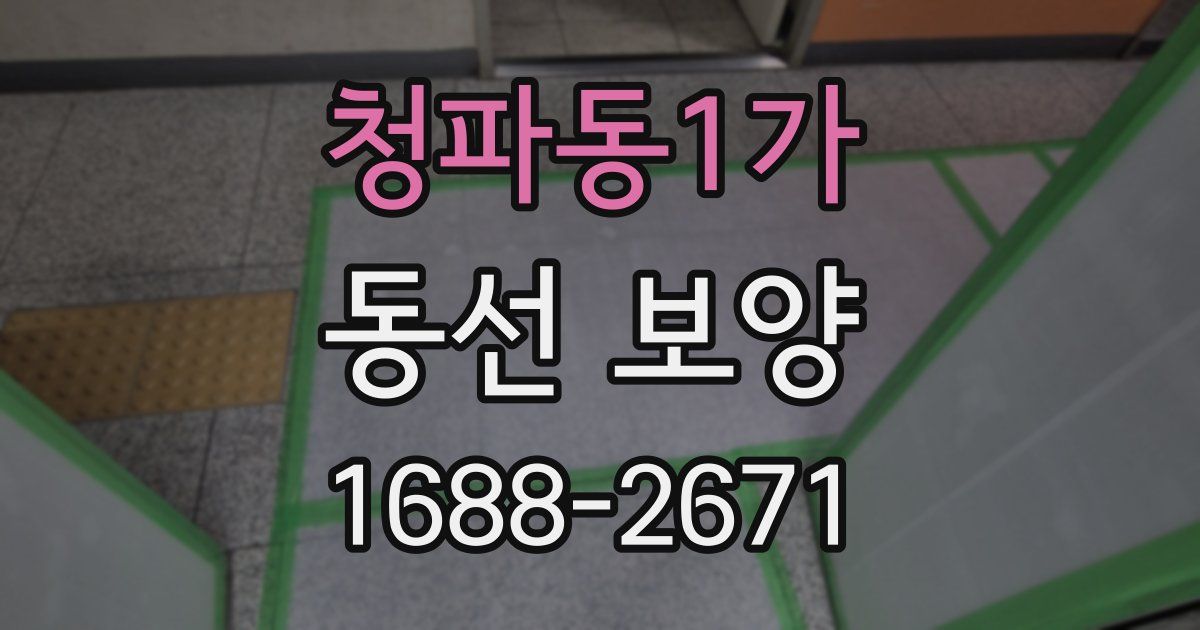 청파동1가 동선 보양