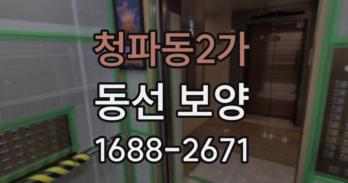 청파동2가 동선 보양
