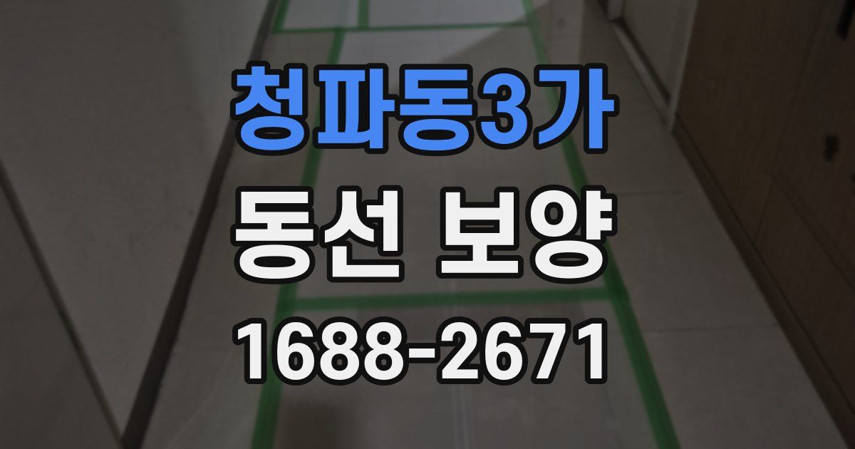 청파동3가 동선 보양