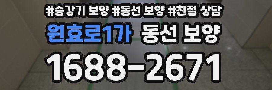 원효로1가 동선 보양