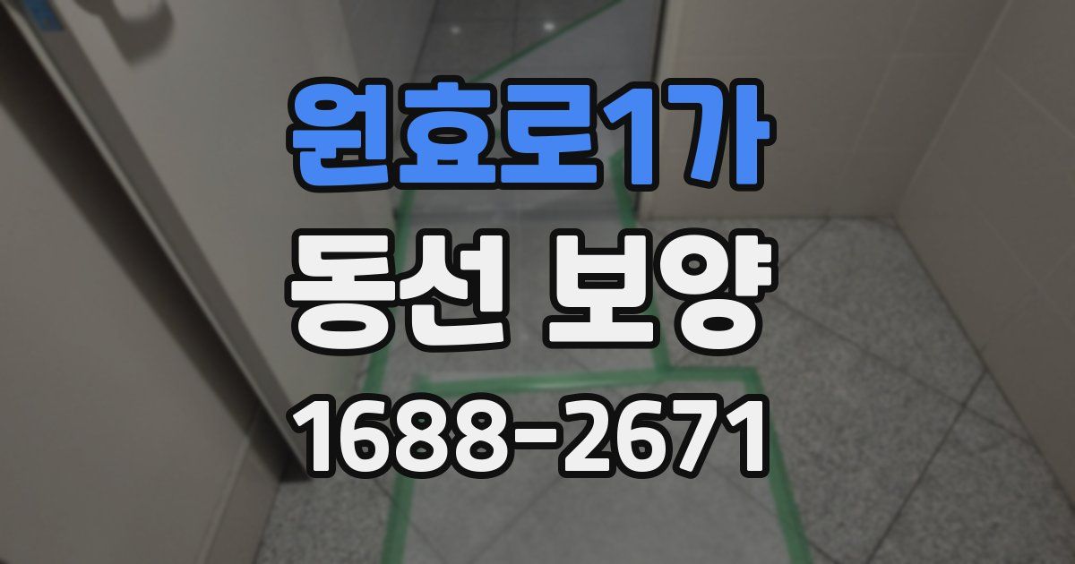 원효로1가 동선 보양