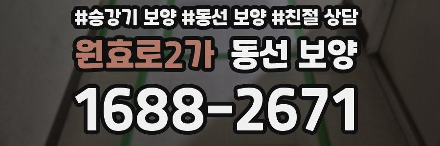 원효로2가 동선 보양