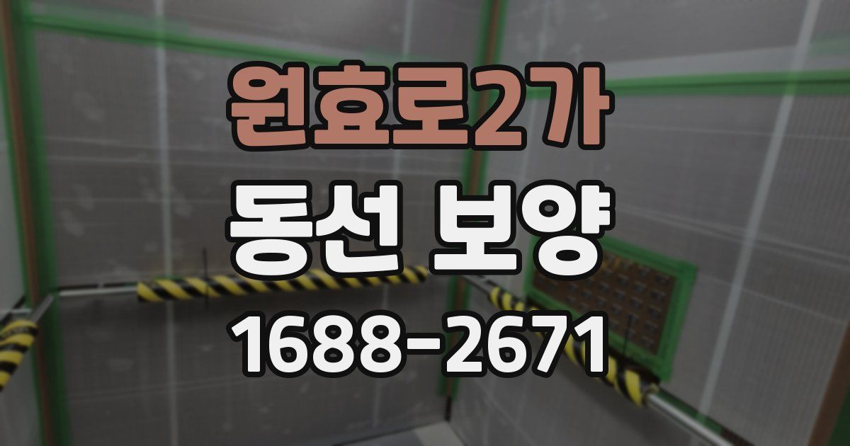 원효로2가 동선 보양