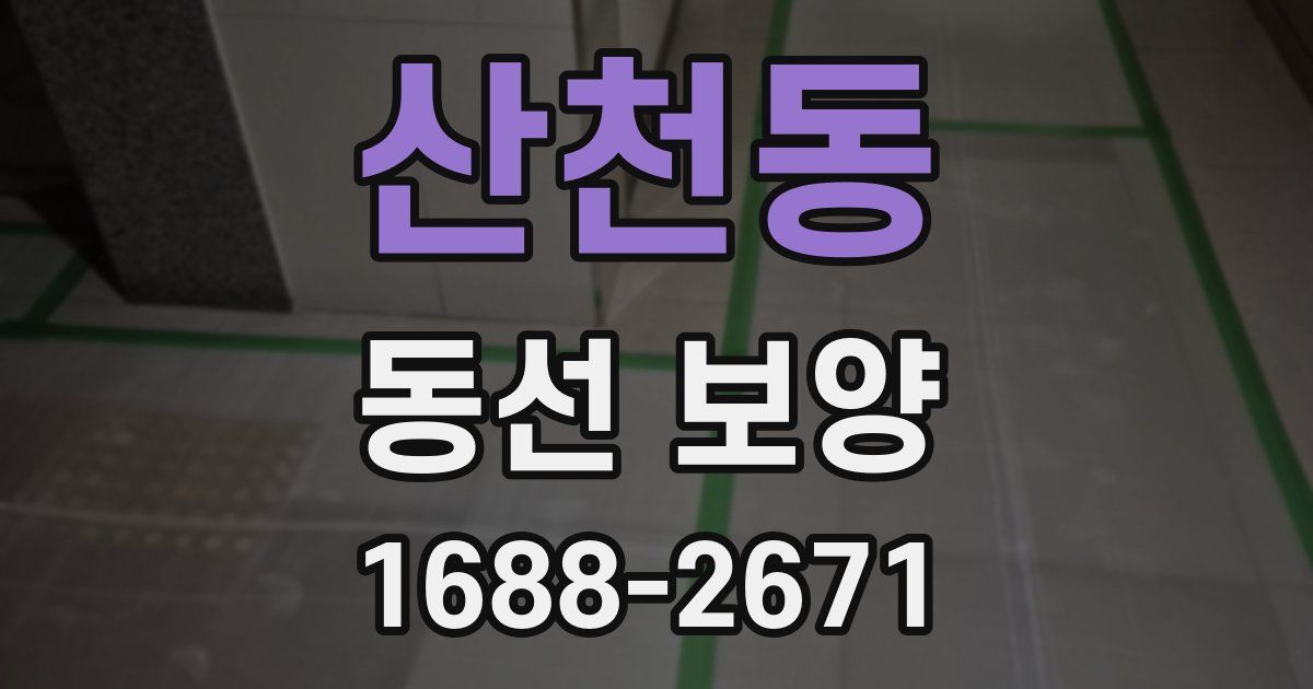 산천동 동선 보양