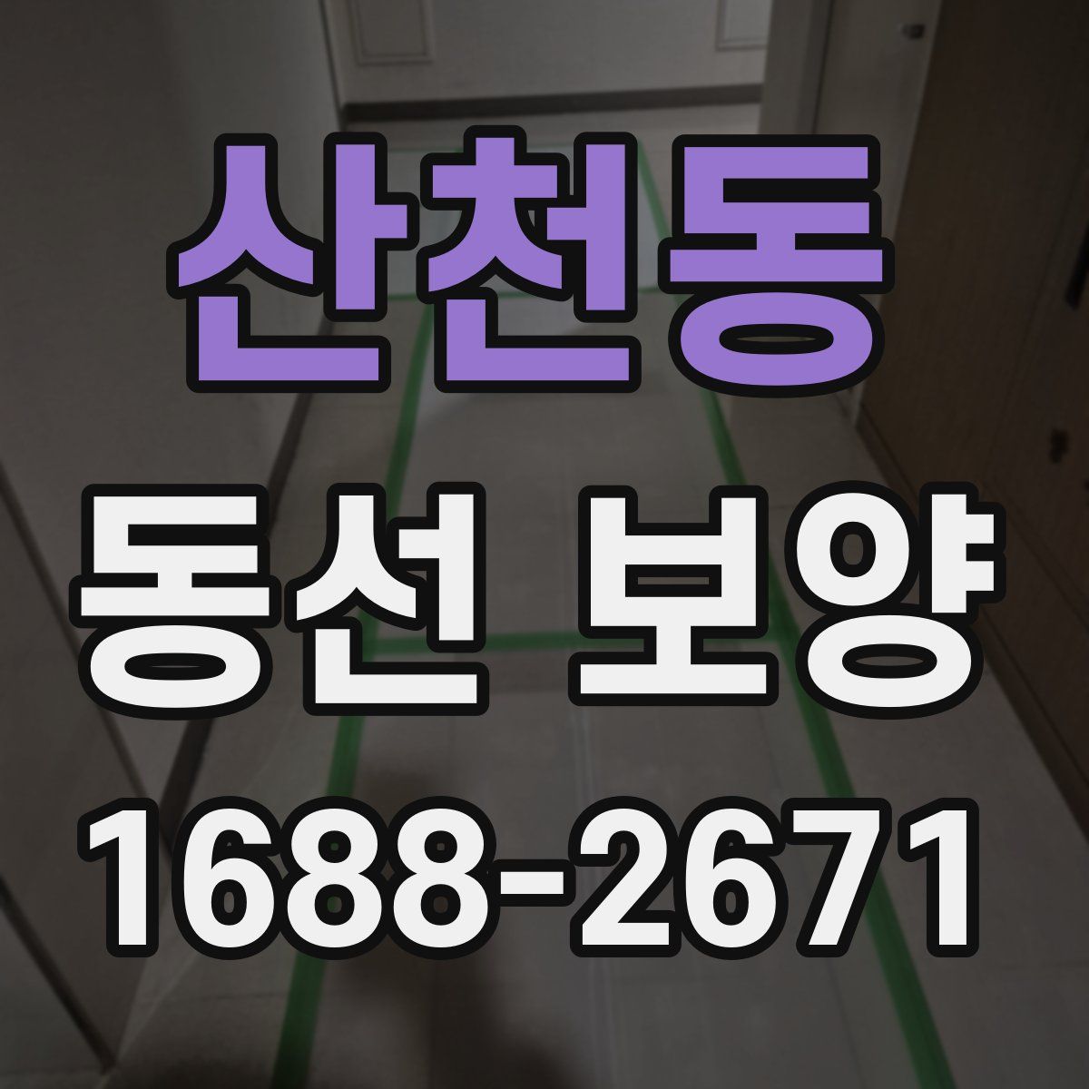 산천동 동선 보양