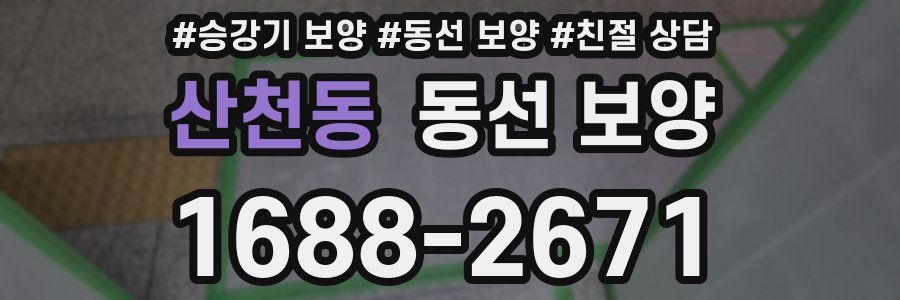 산천동 동선 보양