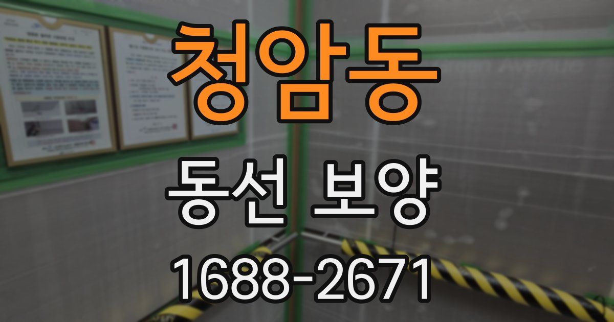 청암동 동선 보양