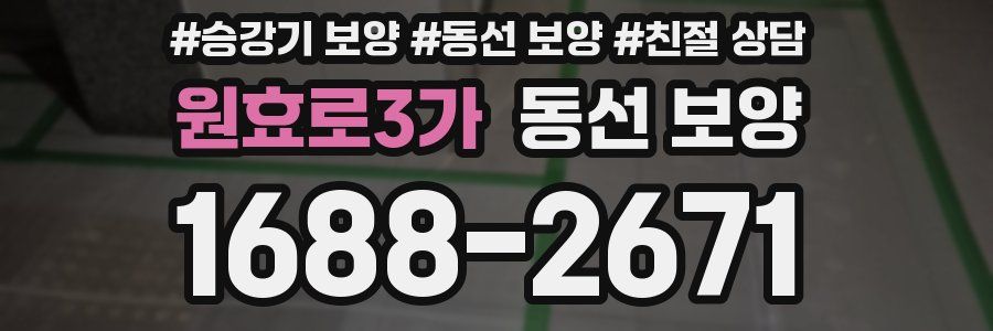 원효로3가 동선 보양