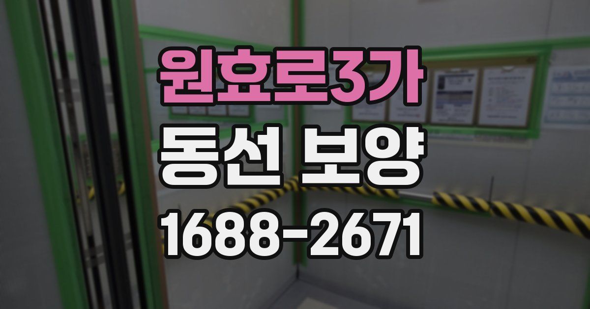원효로3가 동선 보양