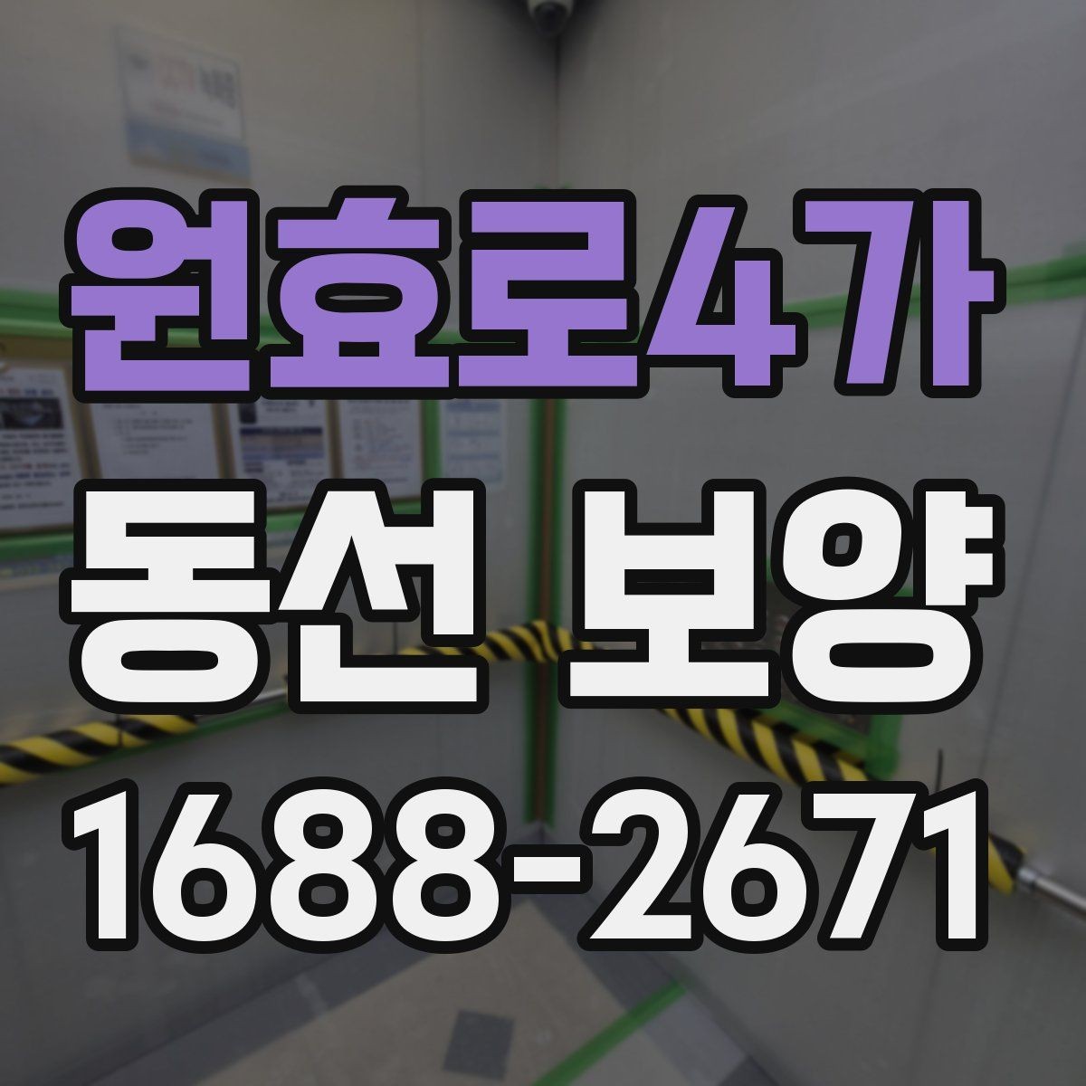 원효로4가 동선 보양 현장 사진으로 보는 작업 흐름