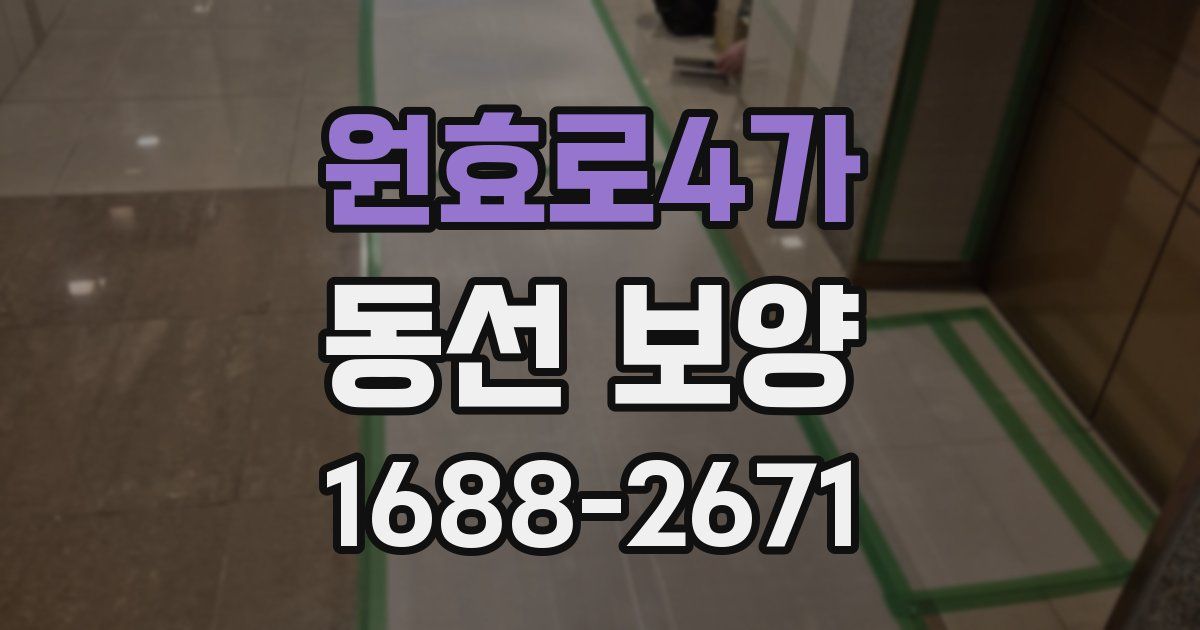 원효로4가 동선 보양