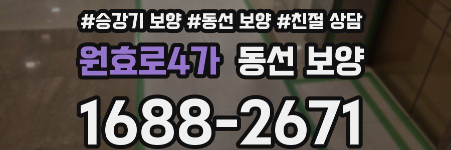 원효로4가 동선 보양