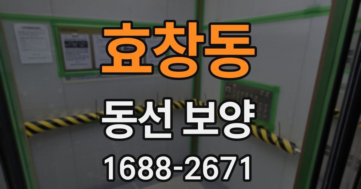 효창동 동선 보양