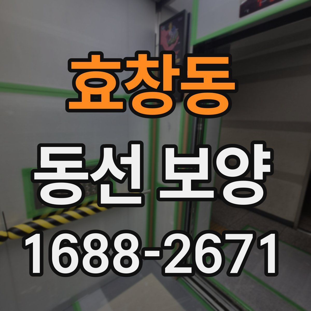 효창동 동선 보양