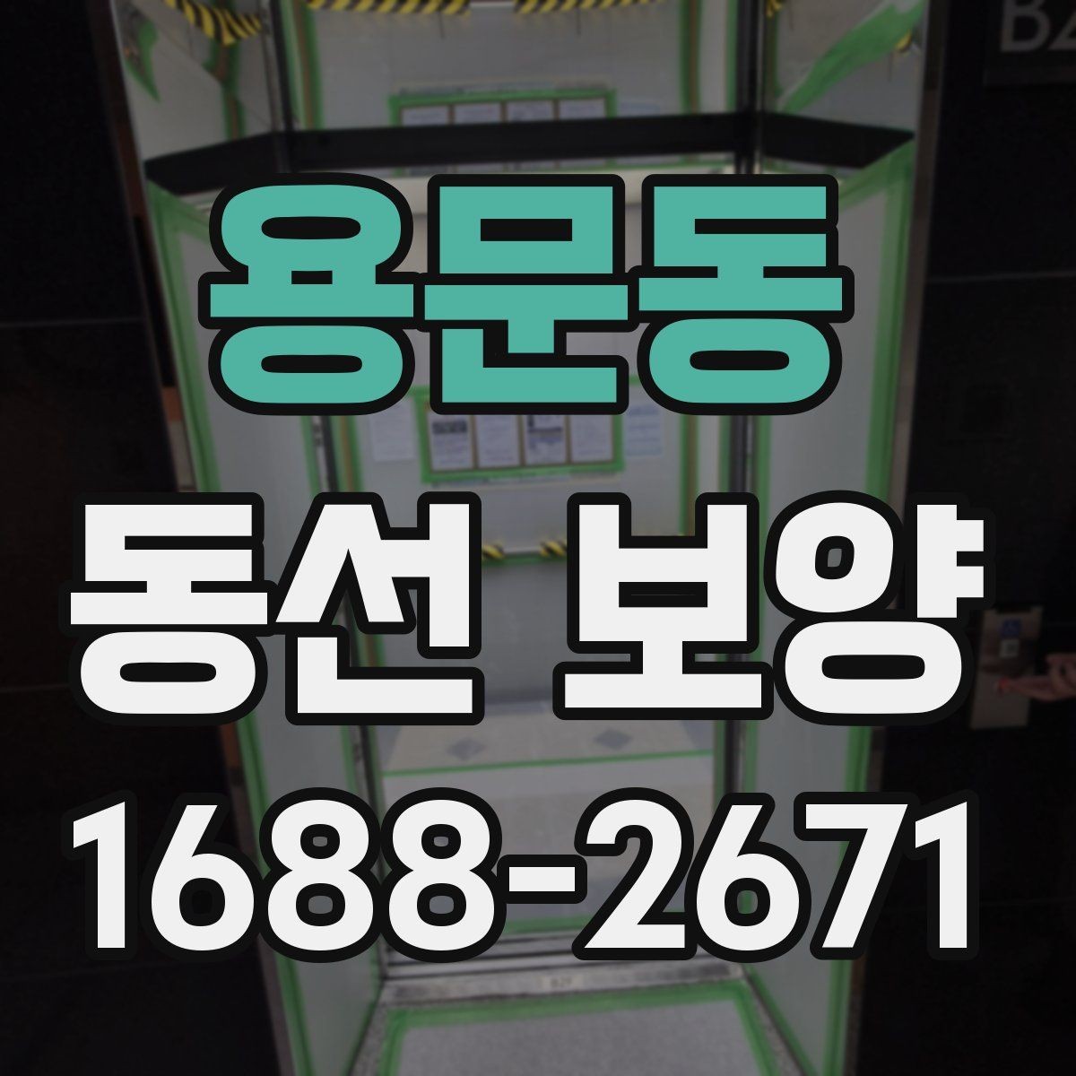 용문동 동선 보양 일정이 꼬이지 않도록 조율하는 법