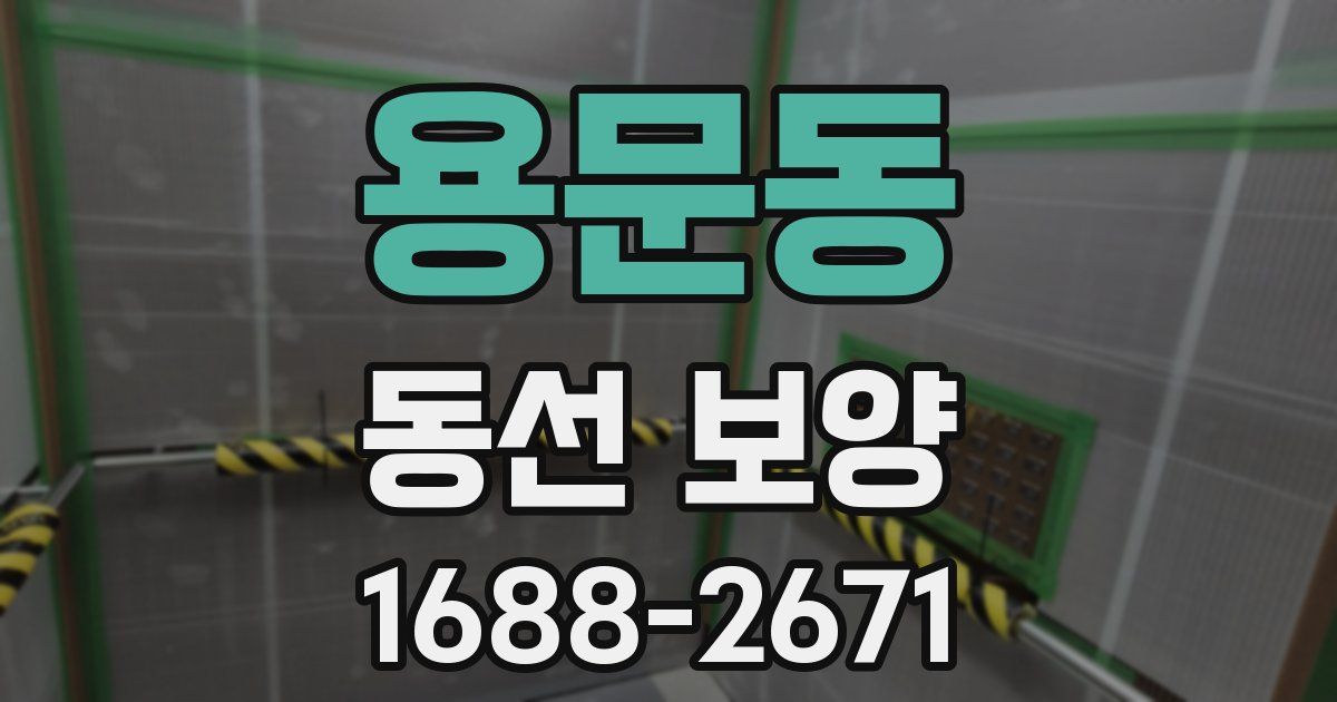 용문동 동선 보양