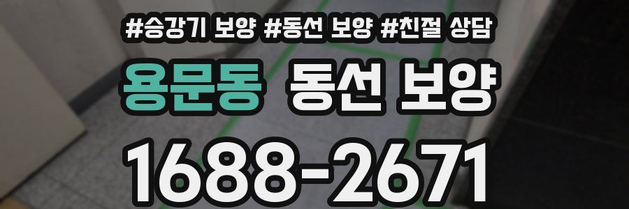 용문동 동선 보양