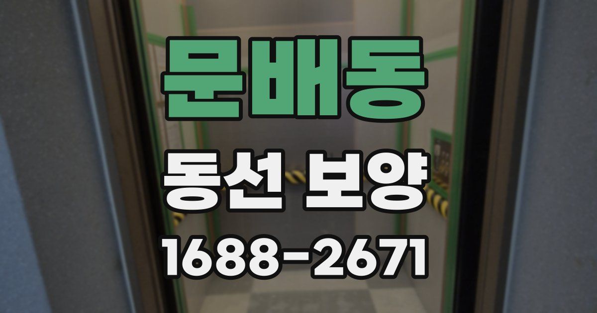 문배동 동선 보양